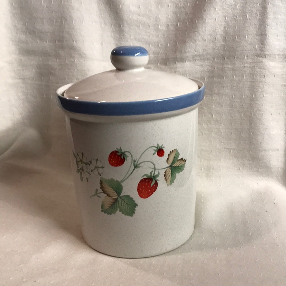 Savior Vivre “Luscious Pattern” 6” Ceramic Canister with Blue Rim JJ017